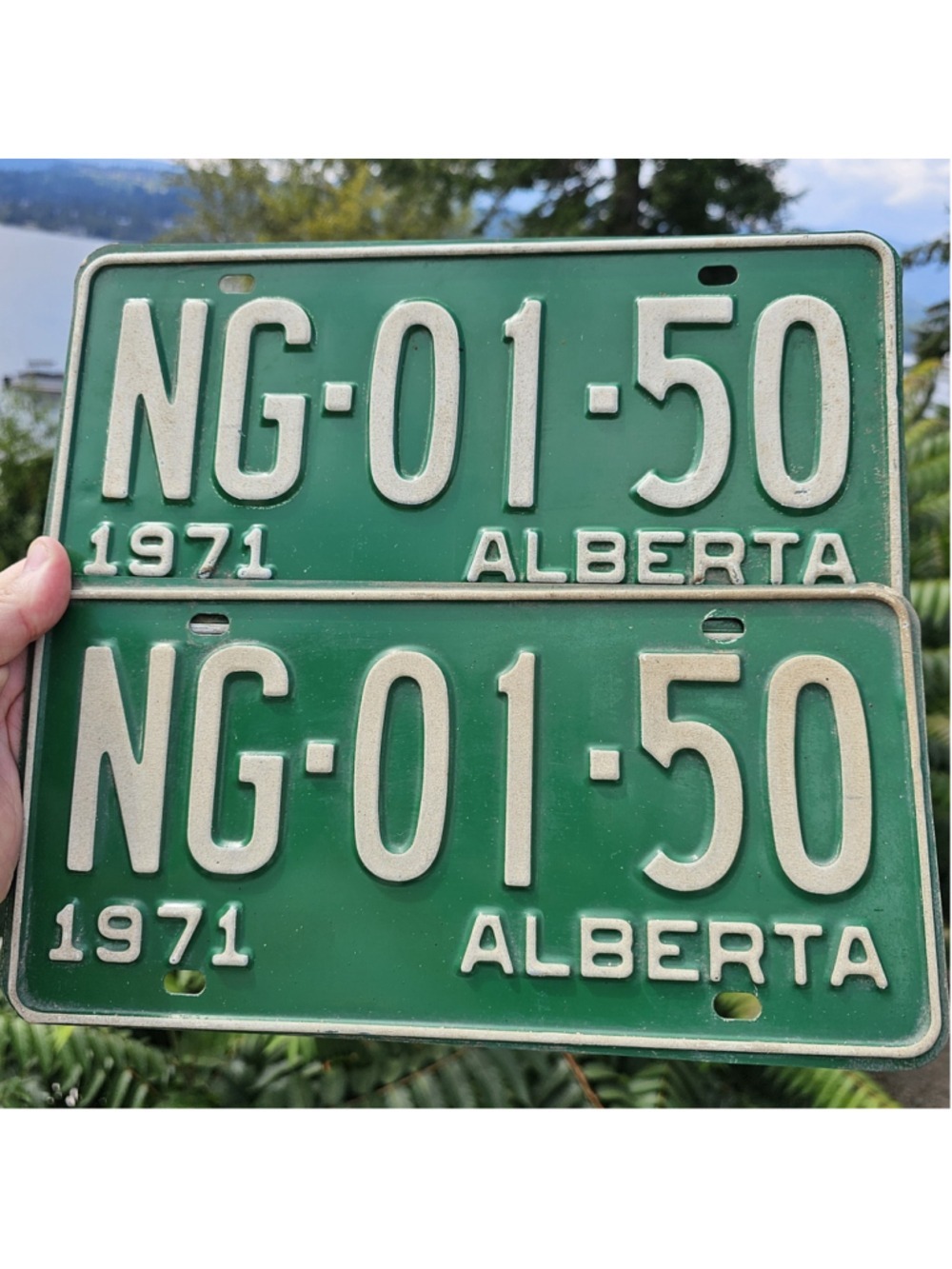 1971 Alberta License Plate Pair NG-01-50 Matching Set Vintage Canada Green